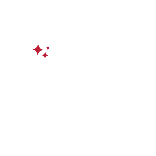 Renewed Shine Mobile Auto Detailing